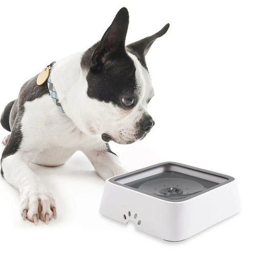 HydroPup™ - Drinkbak