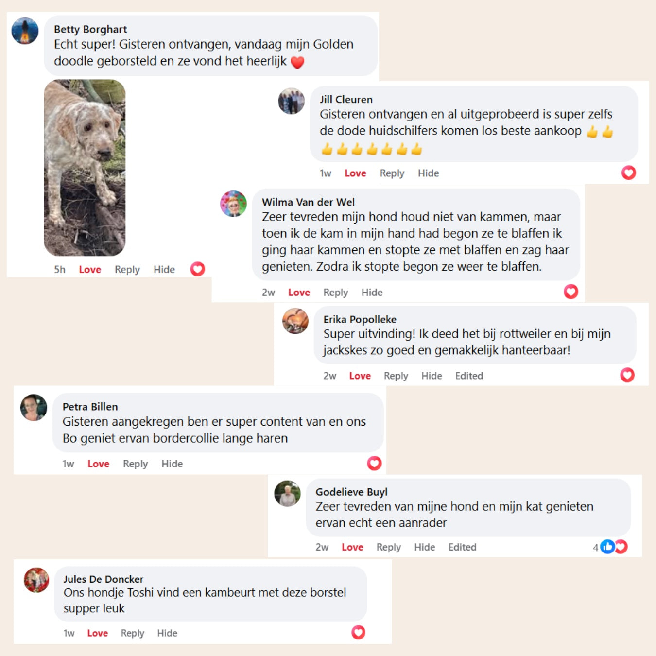 Steami Pro - Professionele Vachtverzorgings Borstel voor Huisdieren