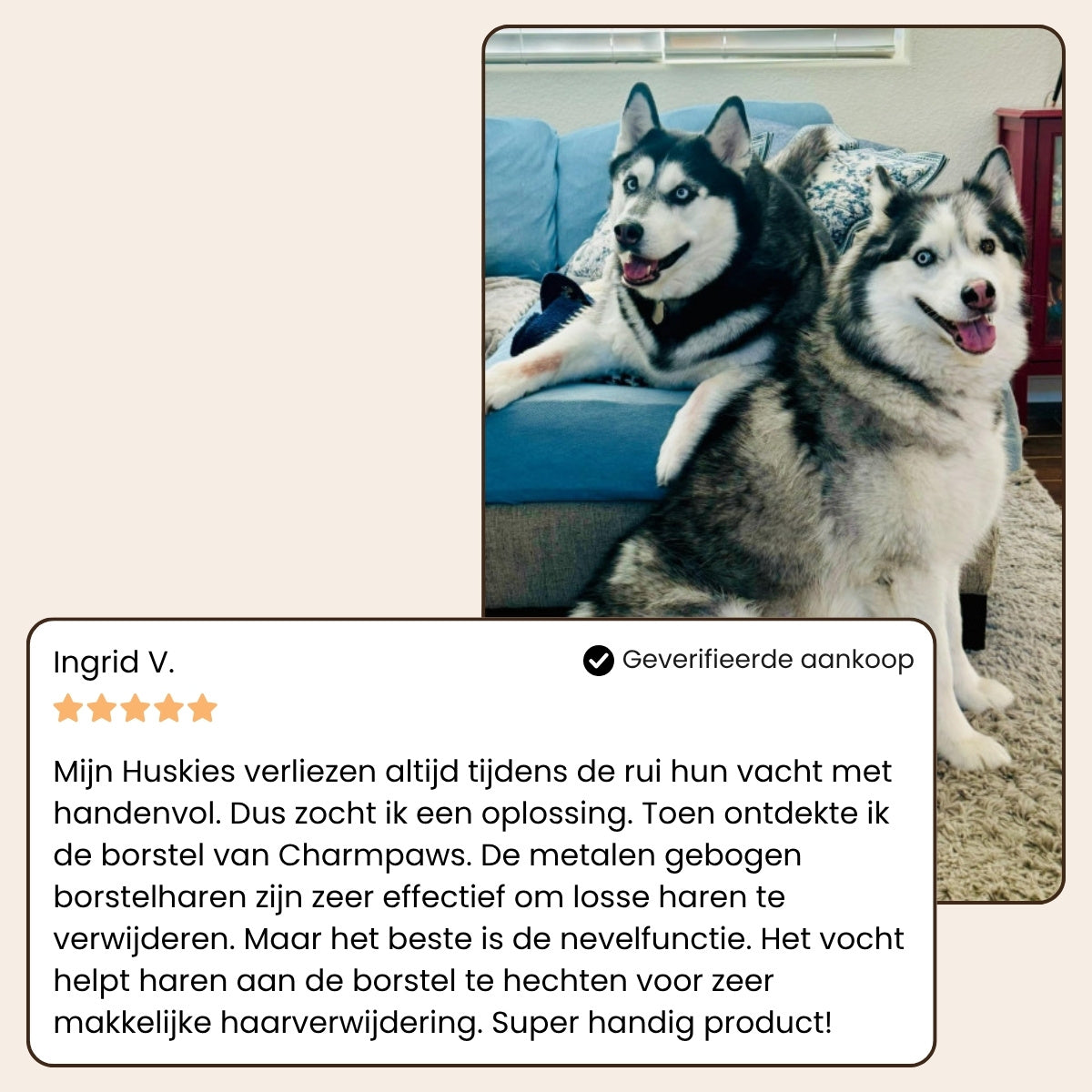 Steami Pro - Professionele Vachtverzorgings Borstel voor Huisdieren