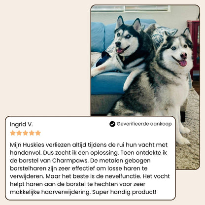 Steami Pro - Professionele Vachtverzorgings Borstel voor Huisdieren