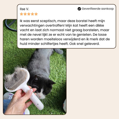Steami Pro - Professionele Vachtverzorgings Borstel voor Huisdieren