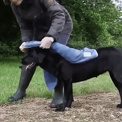 PawDry™ – Hondenbadjas